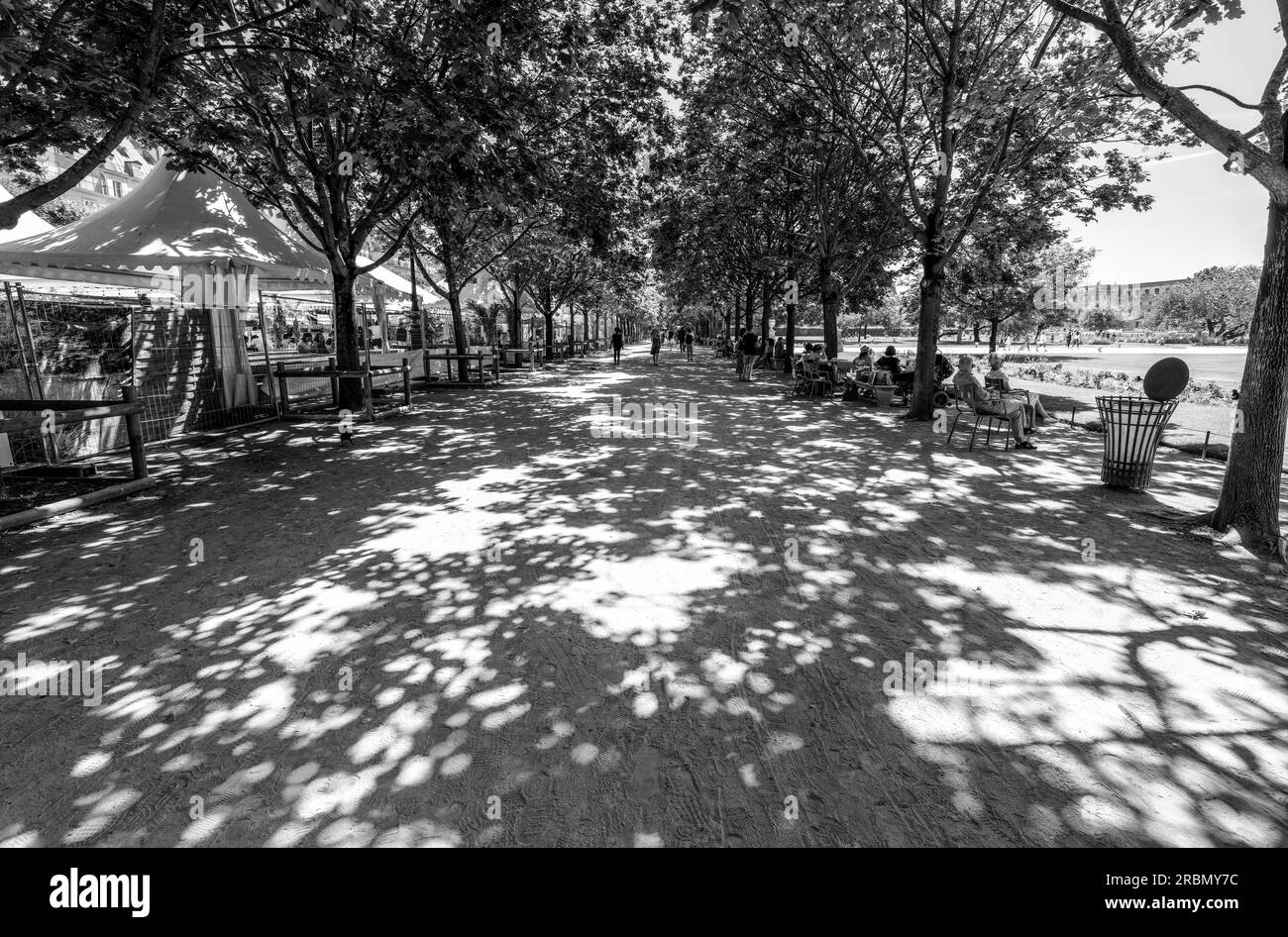 Jardin des Tuileries. Motivi, silouettes in un viale ombreggiato nel XVII secolo, giardini delle Tuileries nelle calde giornate di sole. 1 Arr. Place de la Concorde, Parigi Foto Stock
