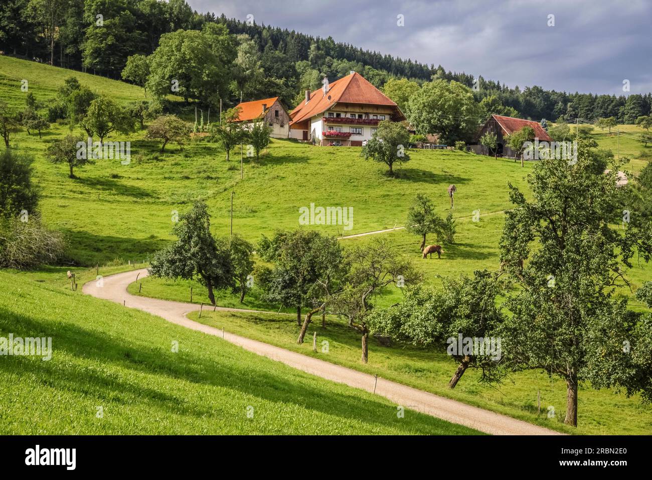 Grande vecchia fattoria della Foresta Nera nel Dietental vicino a Mühlenbach, Foresta Nera, Baden-Württemberg, Germania Foto Stock