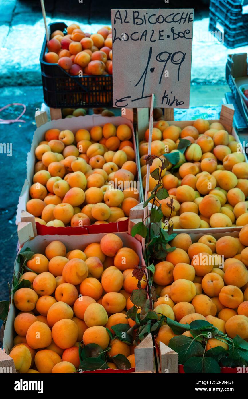 Albicocche biologiche fresche (traduzione: Albicocche) vendute in un mercato in Italia, verticale Foto Stock