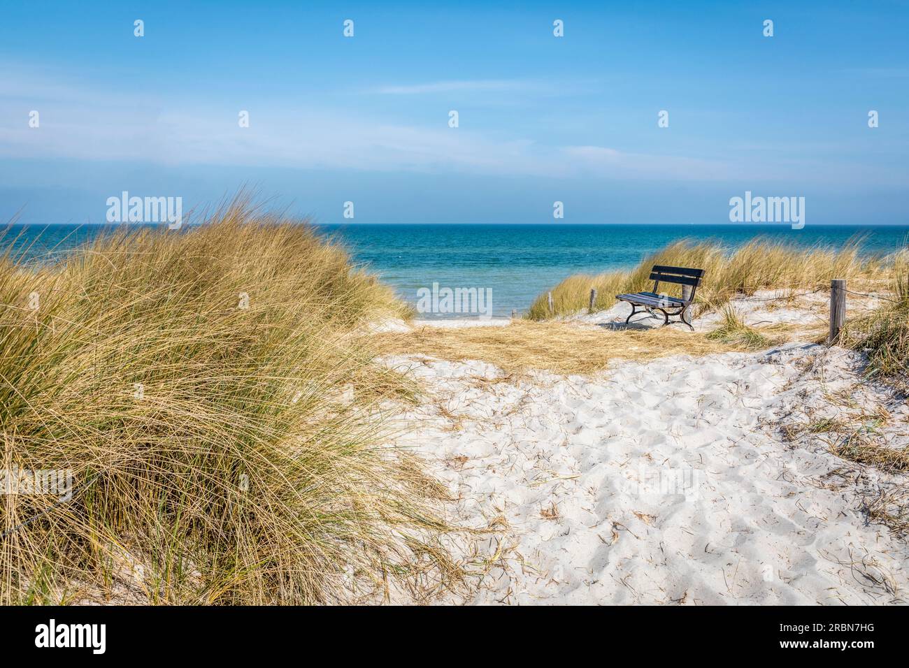 Accesso alla spiaggia vicino a Prerow, Meclemburgo-Pomerania occidentale, Germania settentrionale, Germania Foto Stock