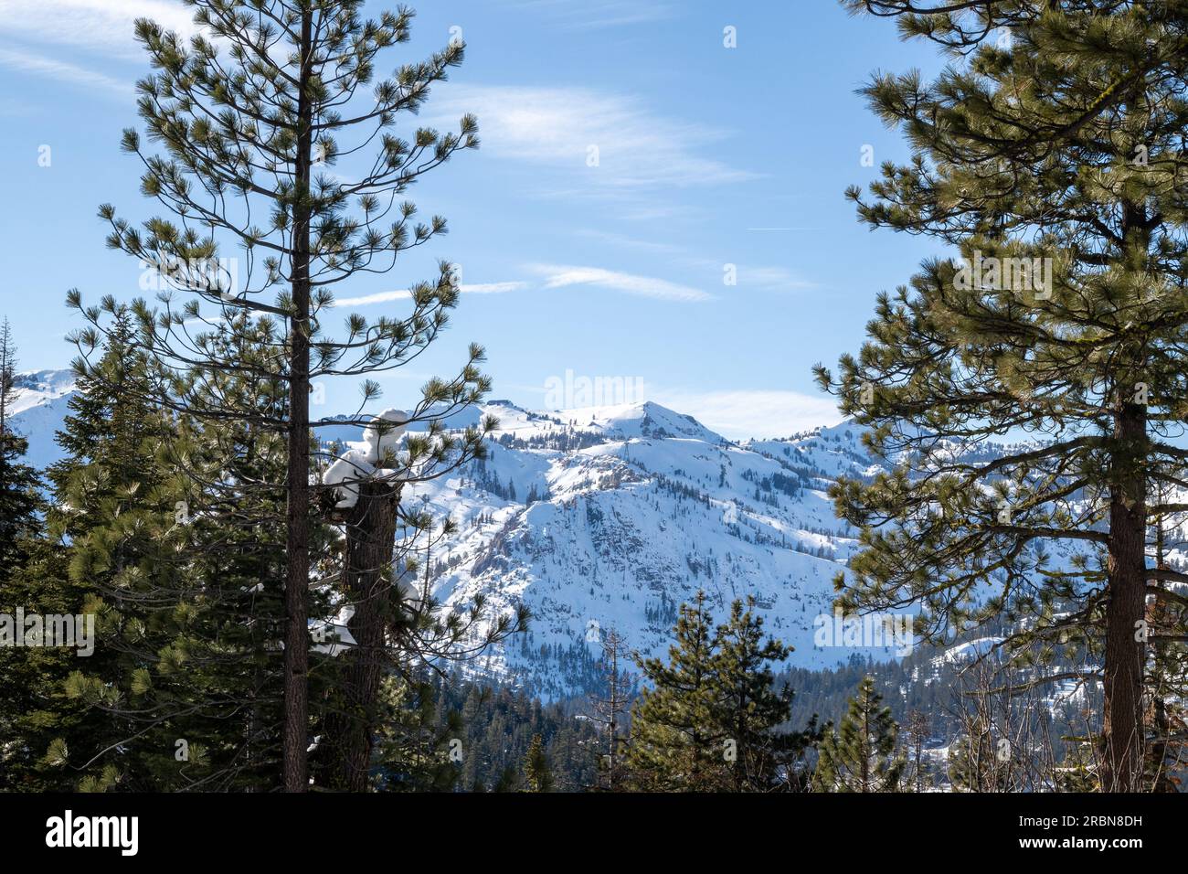Vista delle montagne della Squaw Valley a distanza, in una giornata di cielo blu soleggiato, da tra gli alberi di pino della sierra nevada californiana in Wint Foto Stock