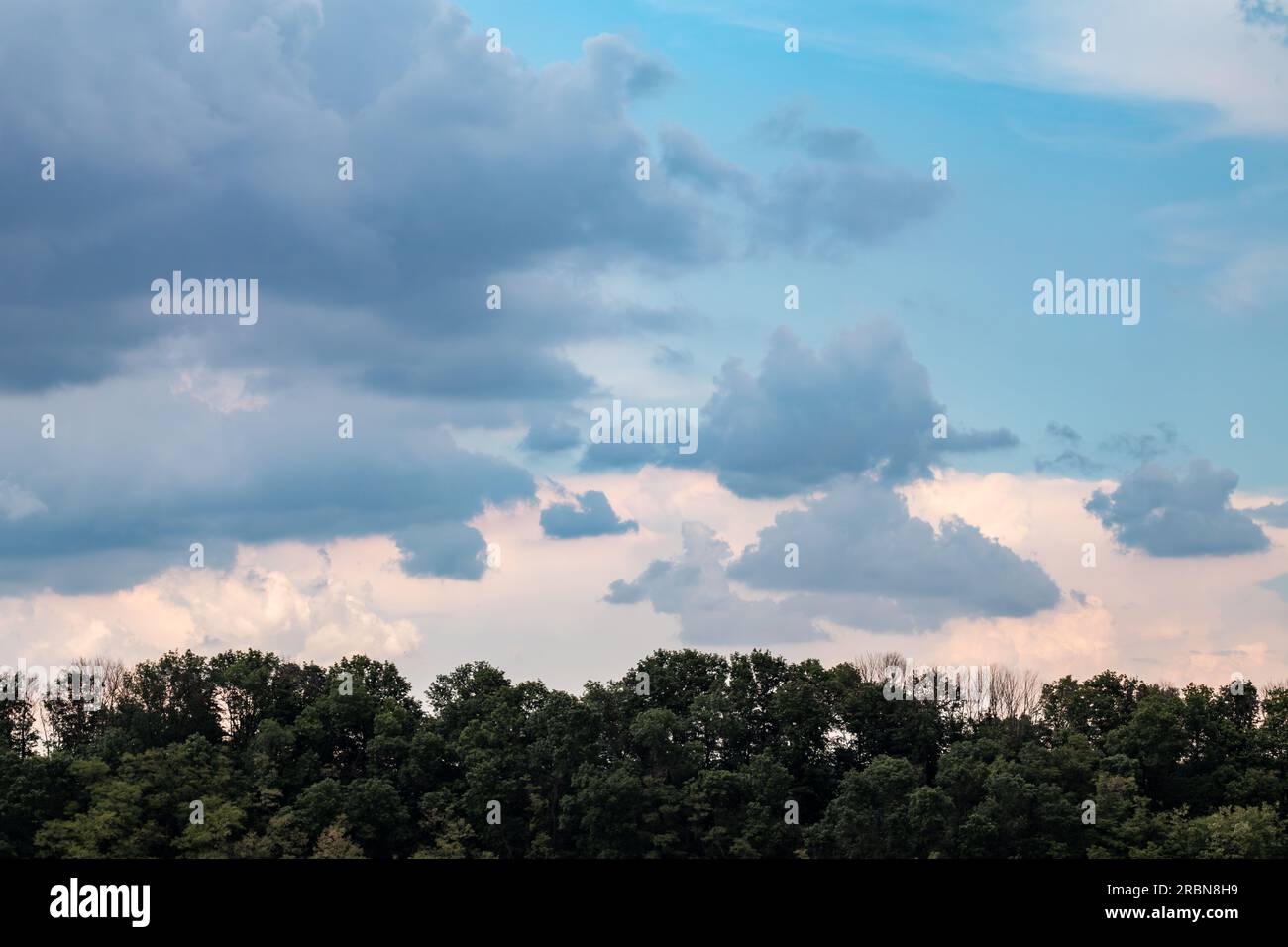 Forti piogge scure e alte nuvole che si aprono sopra la foresta di alberi verdi. Paesaggio naturale di sfondo Cloudscape Foto Stock