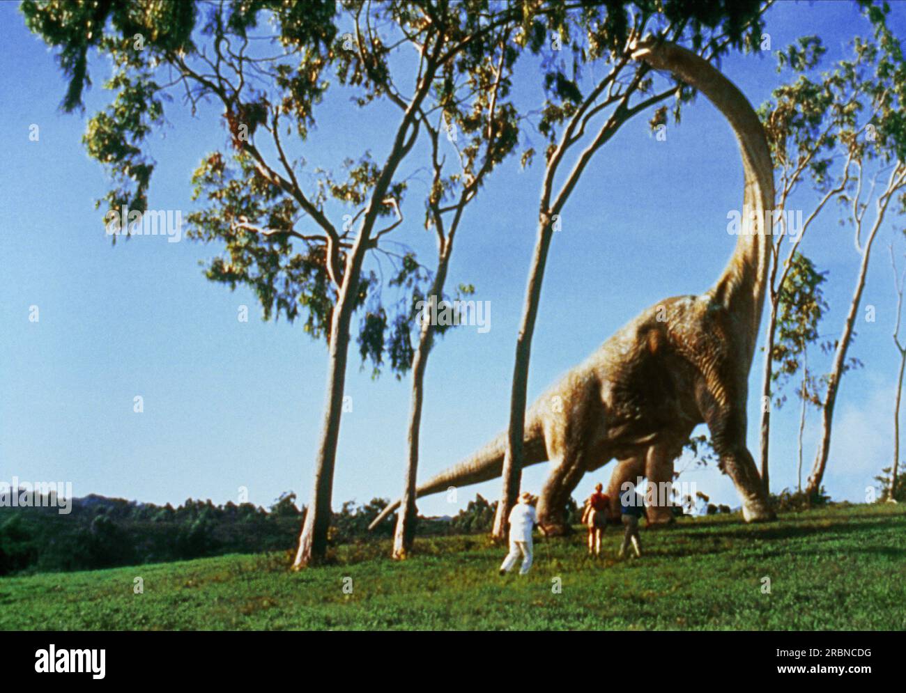 Jurassic Park film Diplodocus Foto Stock