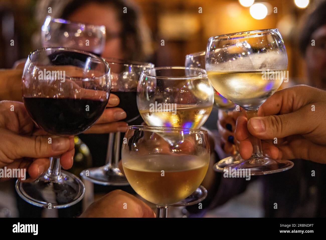 Amici che brindano con bicchieri da vino al ristorante all'aperto la Guinguette vicino al Canal du Midi, Argens-Minervois, Aude, Francia, Europa Foto Stock