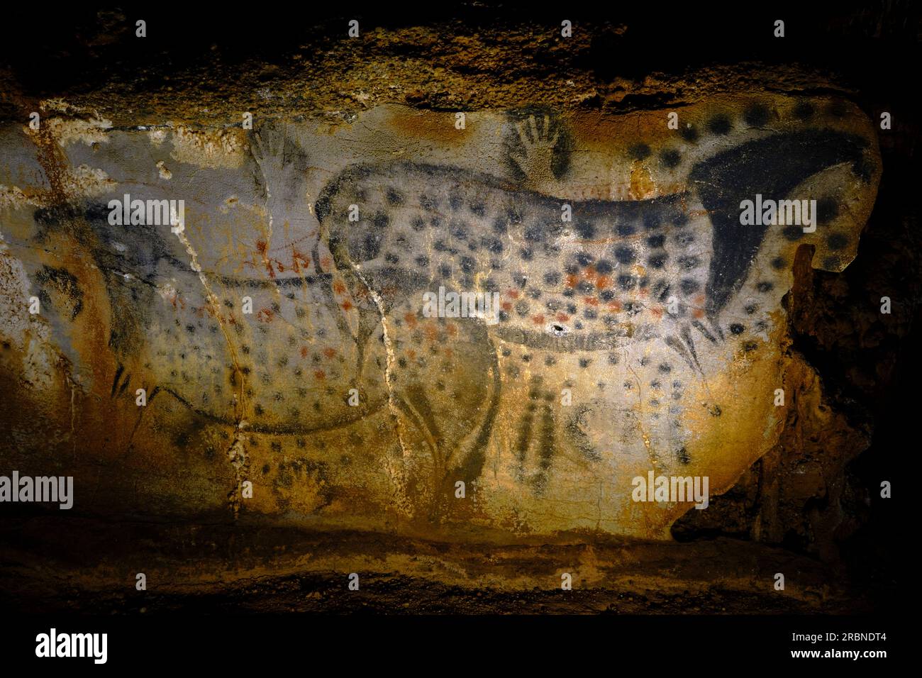 Francia, Lot (46), Cabrerets, Grotte du Pech Merle, Centro della Preistoria, i famosi cavalli maculati, le stelle dei 70 animali disegnati nella grotta Foto Stock