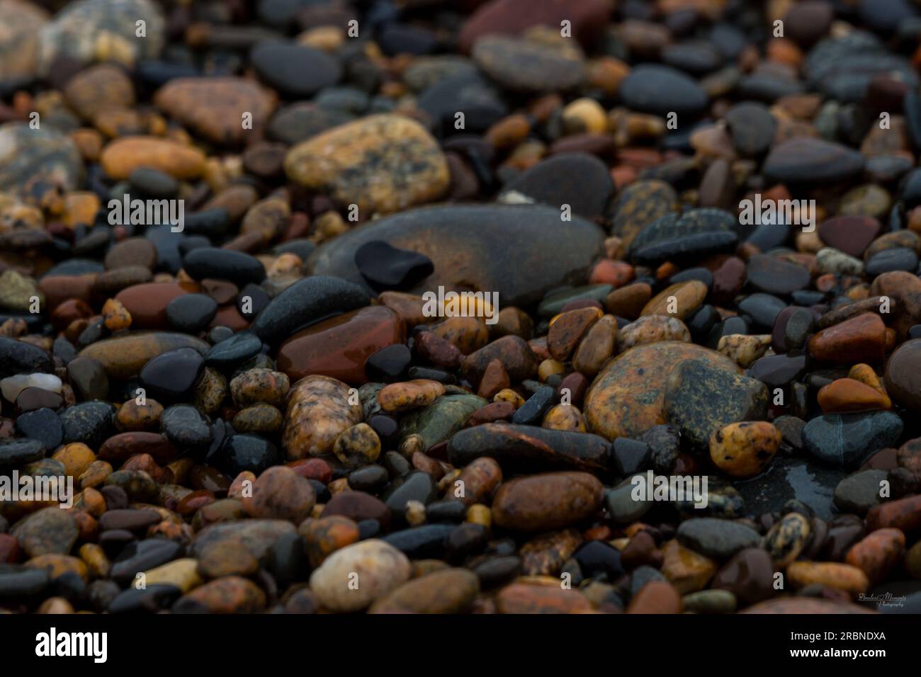 Un astratto di alcuni ciottoli bagnati lungo la costa di Whitefish Point Bay nel Michigan, Stati Uniti. Foto Stock