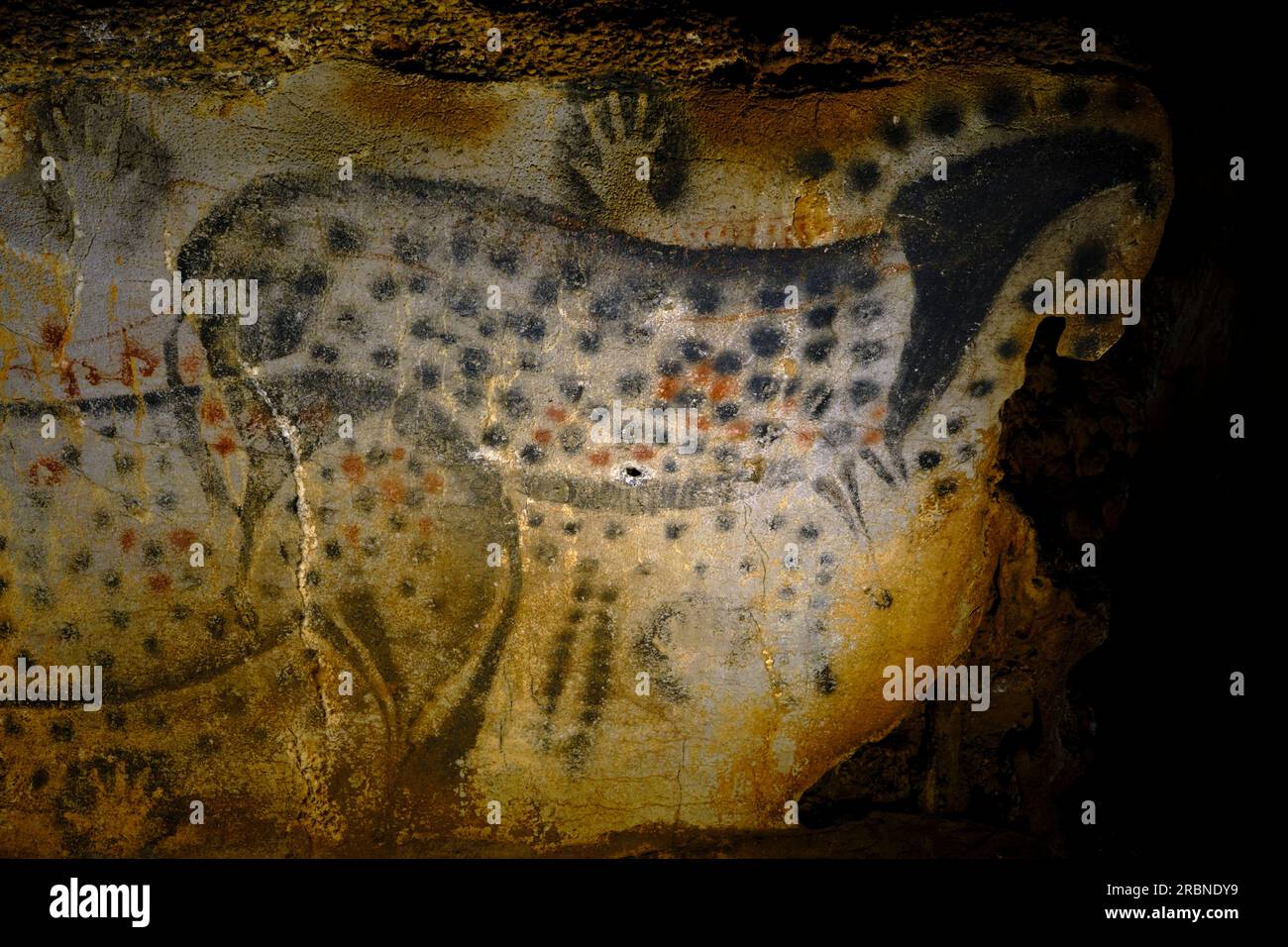Francia, Lot (46), Cabrerets, Grotte du Pech Merle, Centro della Preistoria, i famosi cavalli maculati, le stelle dei 70 animali disegnati nella grotta Foto Stock