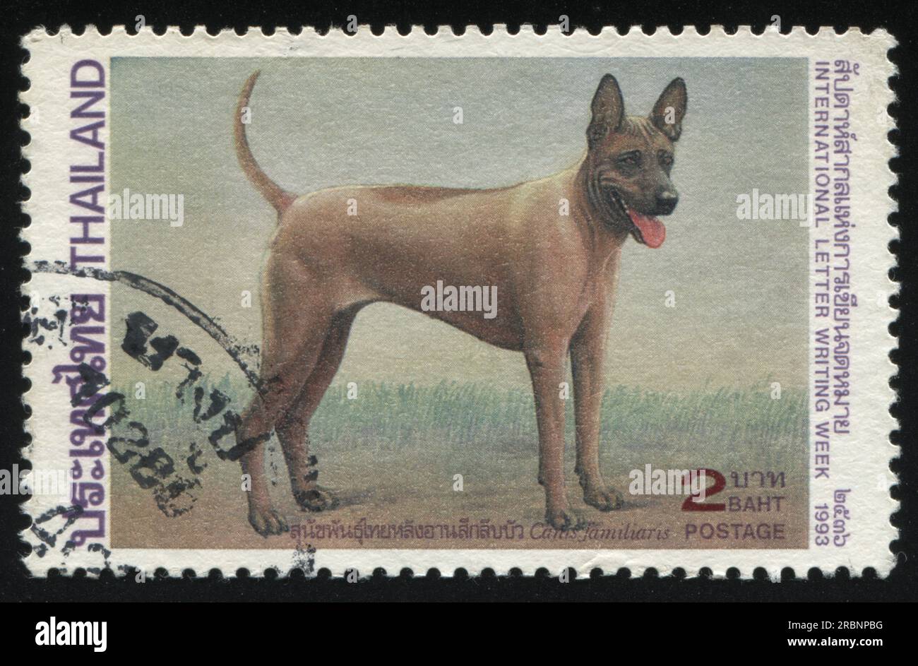 RUSSIA KALININGRAD, 2 GIUGNO 2016: Timbro stampato dalla Thailandia mostra cane, circa 1993 Foto Stock