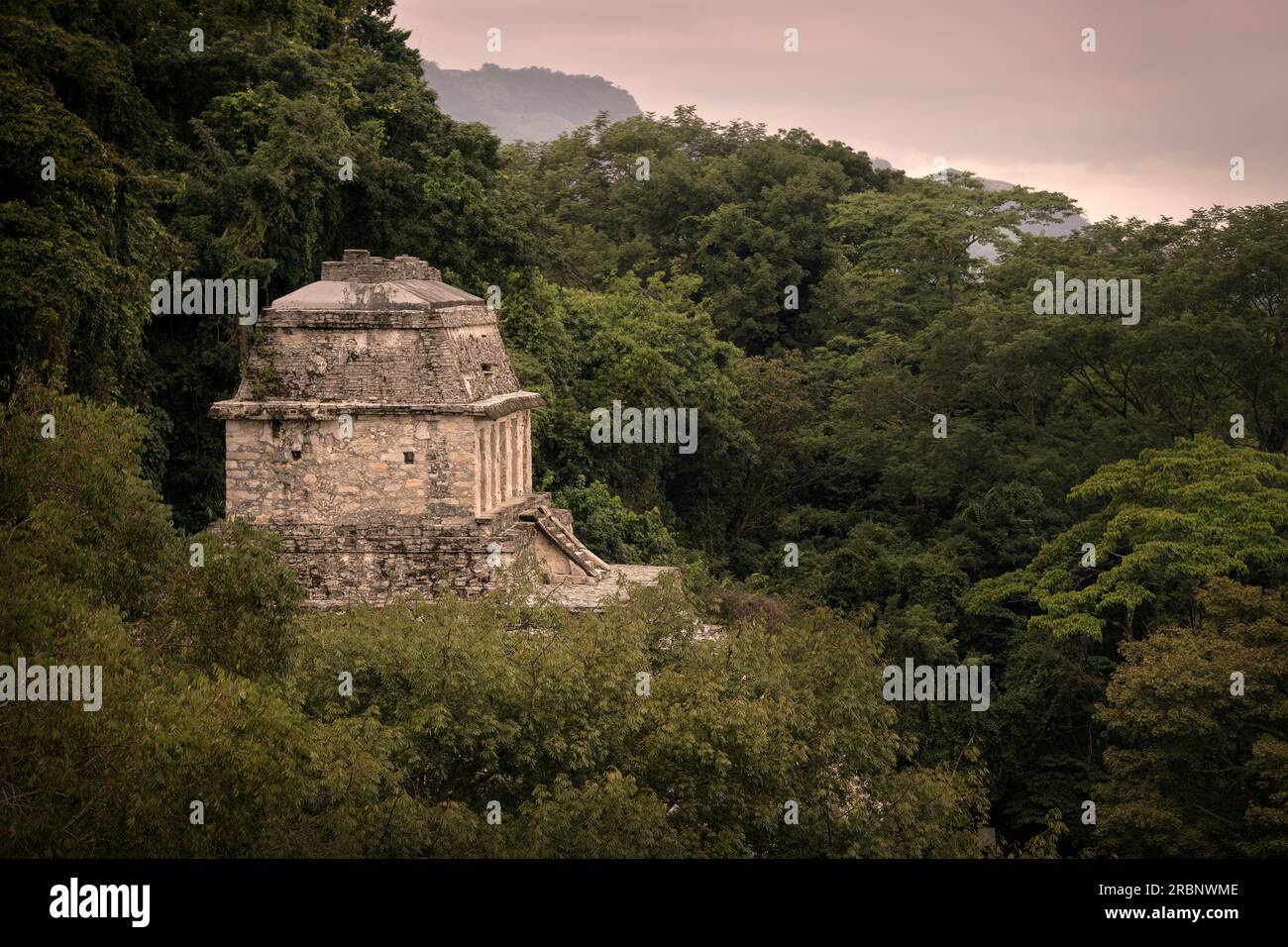 Tempio della Regina Rossa (Templo de la Reina Roja), zona archeologica di Palenque, Maya Metropolis, Chiapas, Messico, Nord America, America Latina, ONU Foto Stock