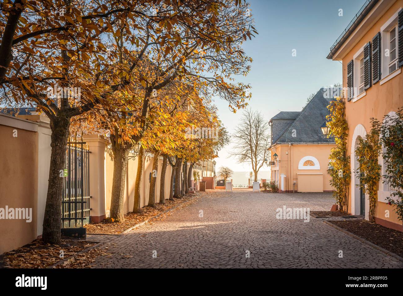 Atmosfera autunnale al castello di Johannisberg, Rheingau, Assia, Germania Foto Stock