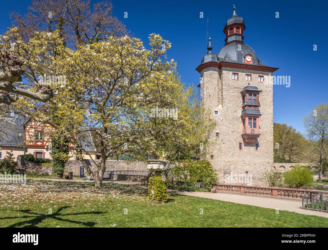 Castello di Vollrads vicino a Oestrich-Winkel, Rheingau, Assia, Germania Foto Stock