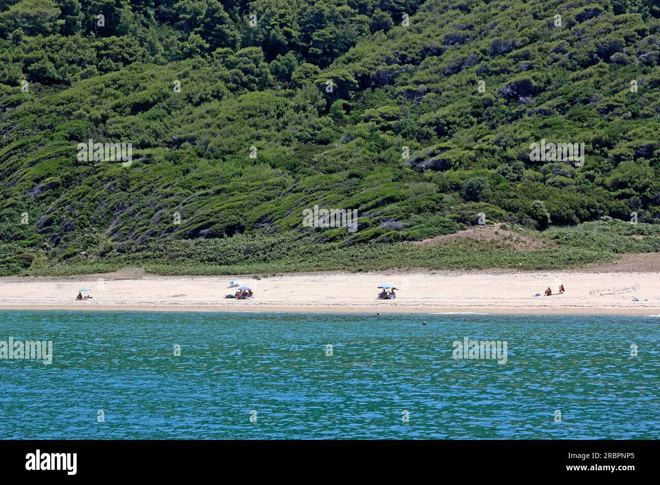Spiaggia Ligaries sulla costa settentrionale dell'isola di Skiathos, Sporadi settentrionali, Grecia Foto Stock