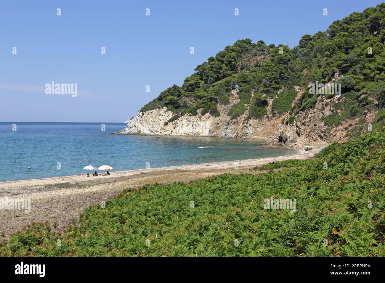 Spiaggia Ligaries sulla costa settentrionale dell'isola di Skiathos, Sporadi settentrionali, Grecia Foto Stock