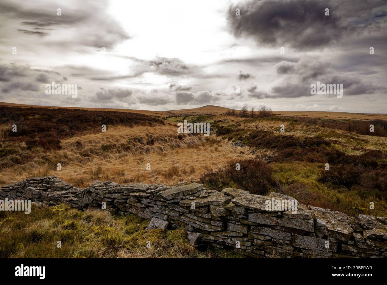 Brughiera desolata e spazzata dal vento con un cielo nuvoloso e un muro di drystone in primo piano, Haslingden Grane, Rossendale, Lancashire Foto Stock
