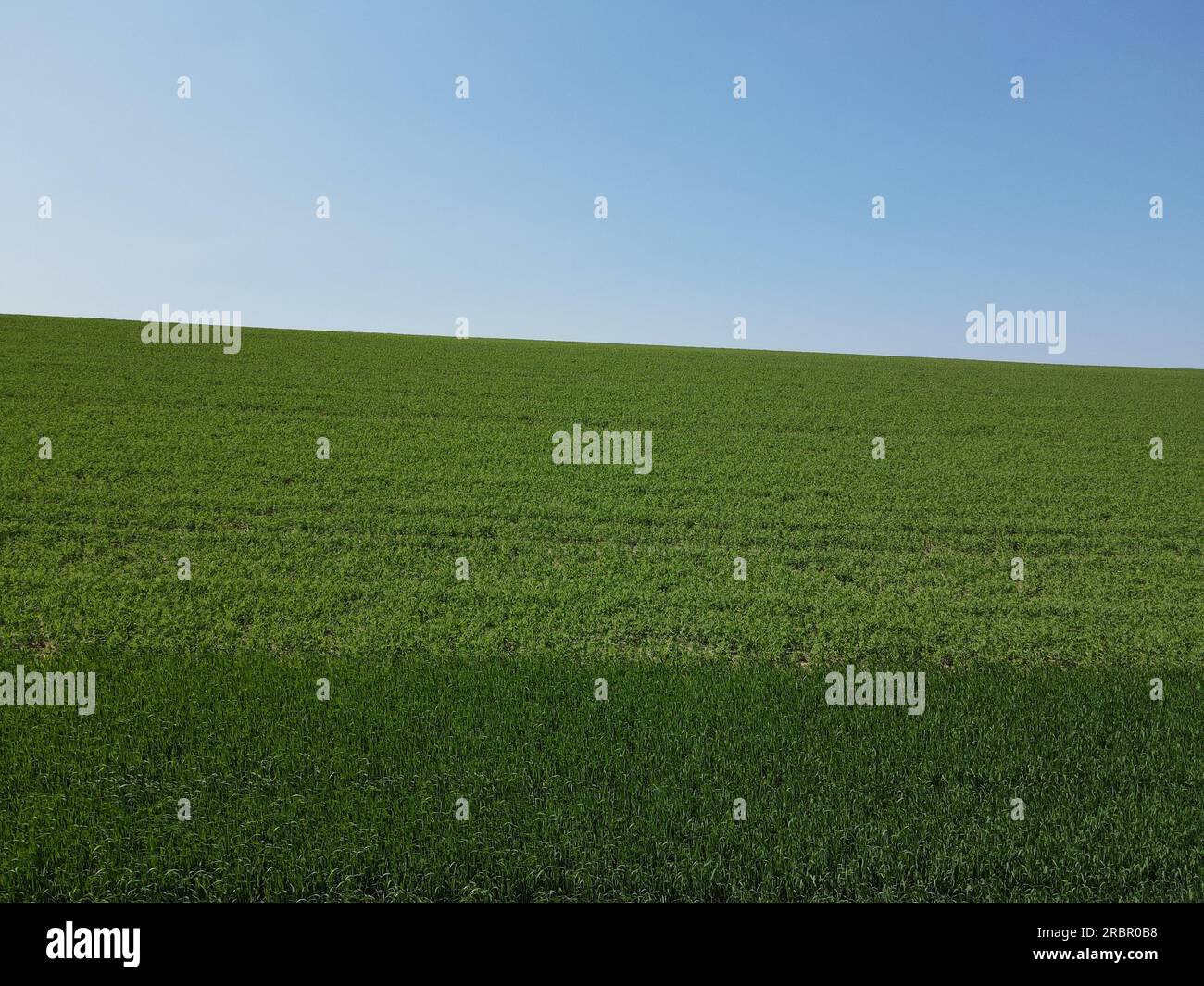 Collina verde con cielo blu soleggiato in estate Foto Stock