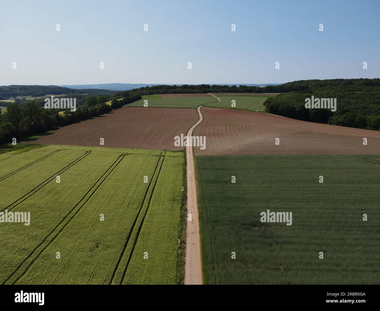 Vista droni della terra agricola con campi coltivati verdi, campi arati con terreno, alberi e un lungo percorso di trattori in una giornata di sole con cielo blu in S. Foto Stock