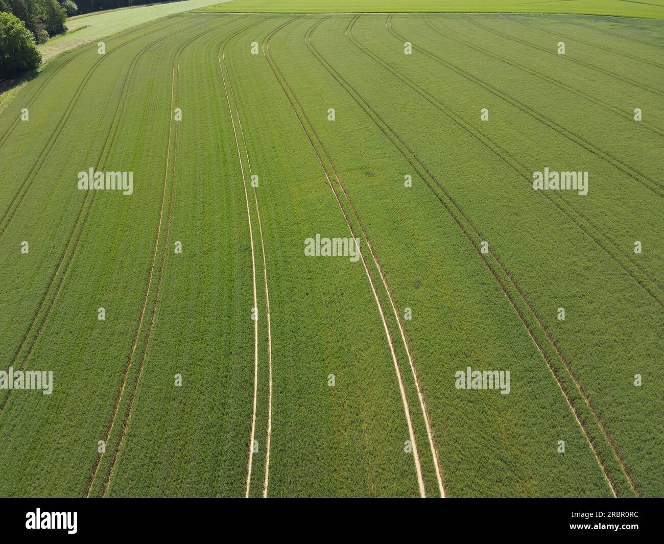 Vista aerea di un campo di coltivazione verde con corsie in primavera Foto Stock