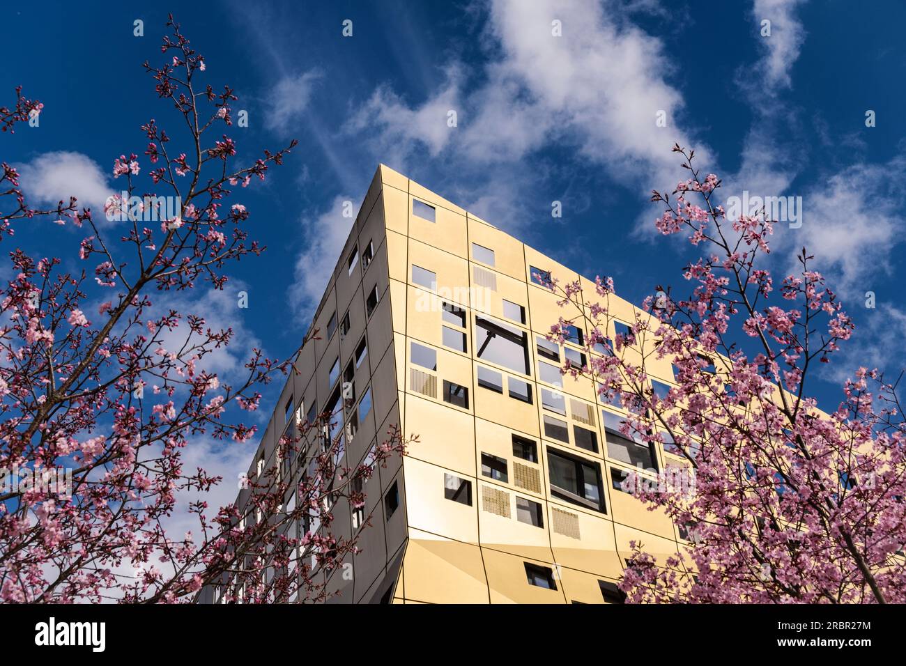 Veduta del Forum dell'Oro e dell'Argento al tempo della fioritura dei ciliegi, Schwaebisch Gmuend, Baden-Wuerttemberg, Germania, Europa Foto Stock