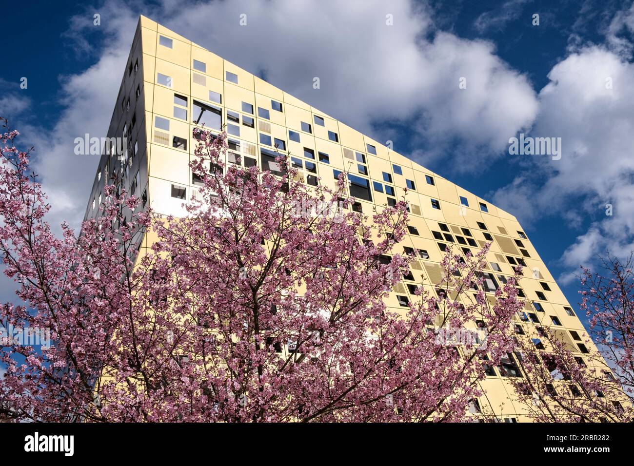 Veduta del Forum dell'Oro e dell'Argento al tempo della fioritura dei ciliegi, Schwaebisch Gmuend, Baden-Wuerttemberg, Germania, Europa Foto Stock