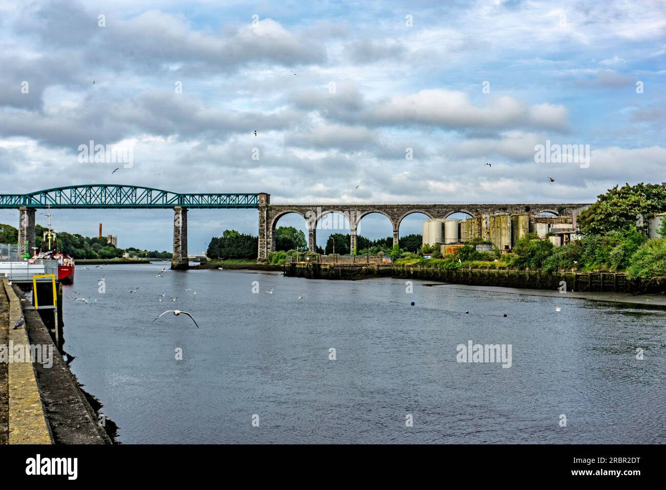 Il viadotto di Boyne, Yellowbatter, Drogheda Co Louth, oltre il fiume Boyne. Che trasporta la linea ferroviaria tra Dublino e Belfast. Foto Stock