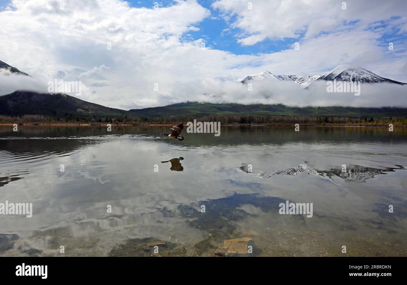 Volo sopra Vermilion Lakes, Canada Foto Stock