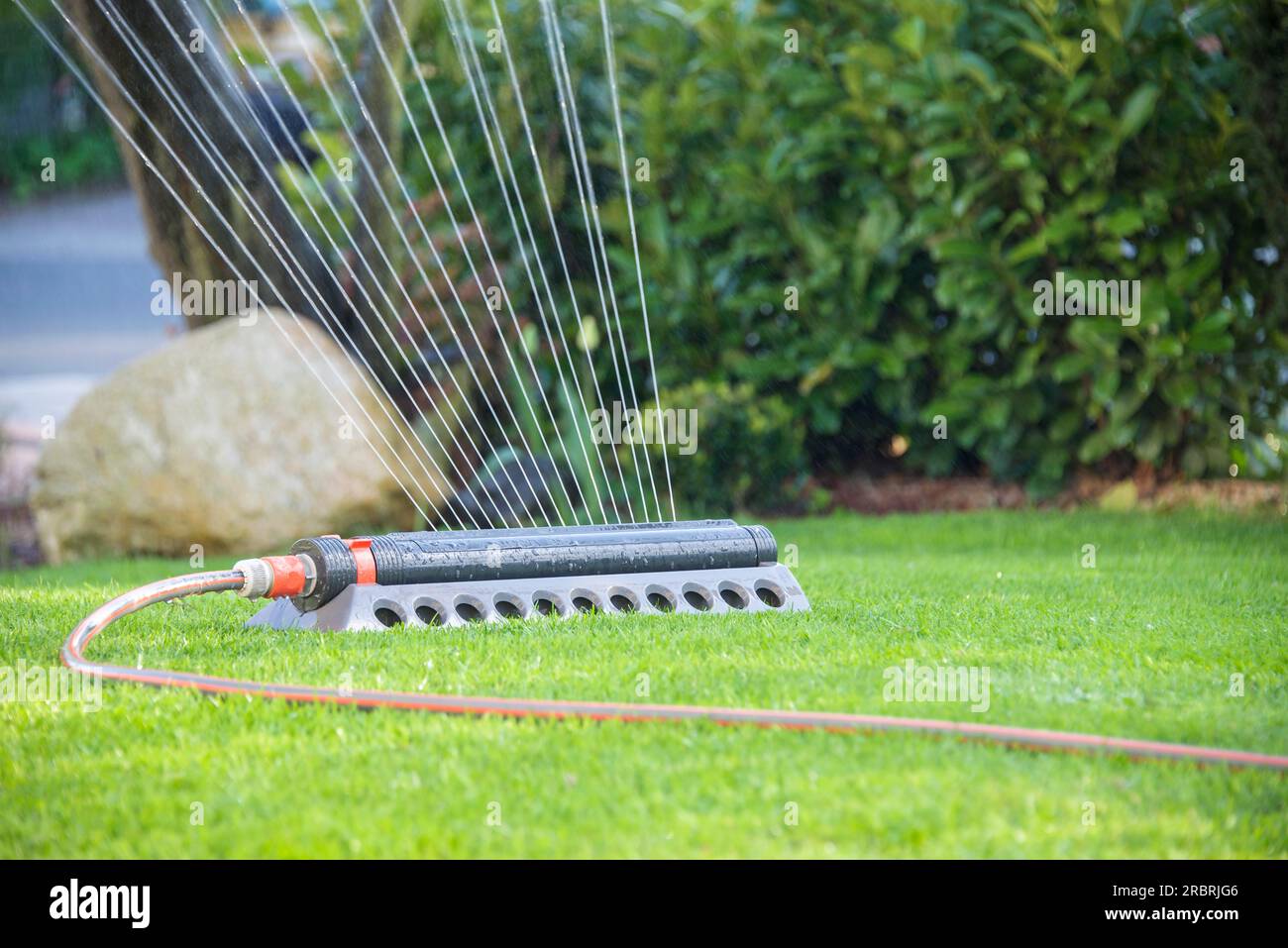 L'irrigatore a prato irriga il giardino rurale Foto Stock