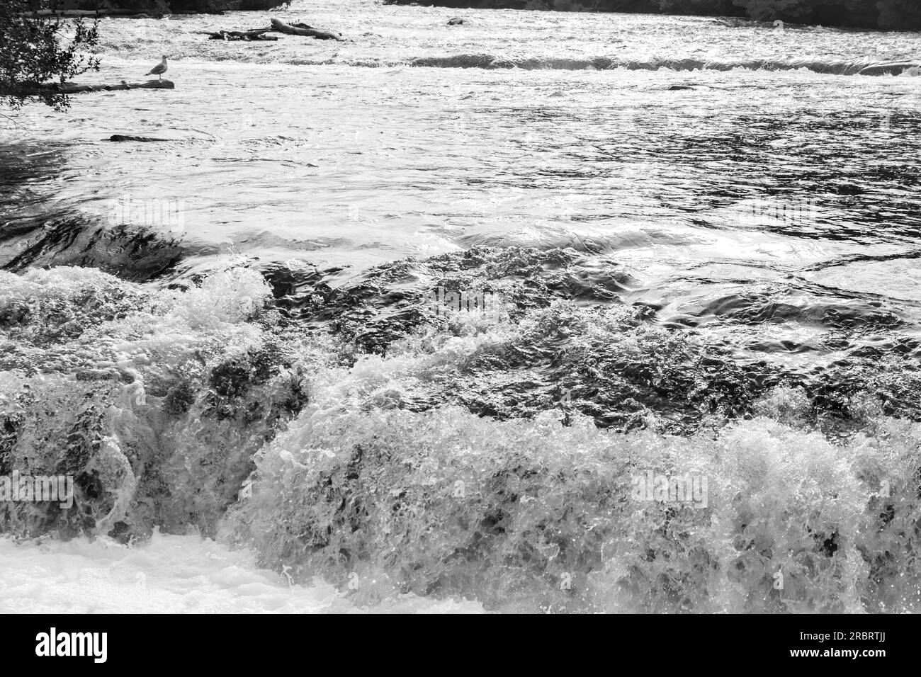 Niagara Falls è il nome collettivo di tre cascate che si trovano a cavallo del confine internazionale tra il Canada e gli Stati Uniti, e altro ancora Foto Stock