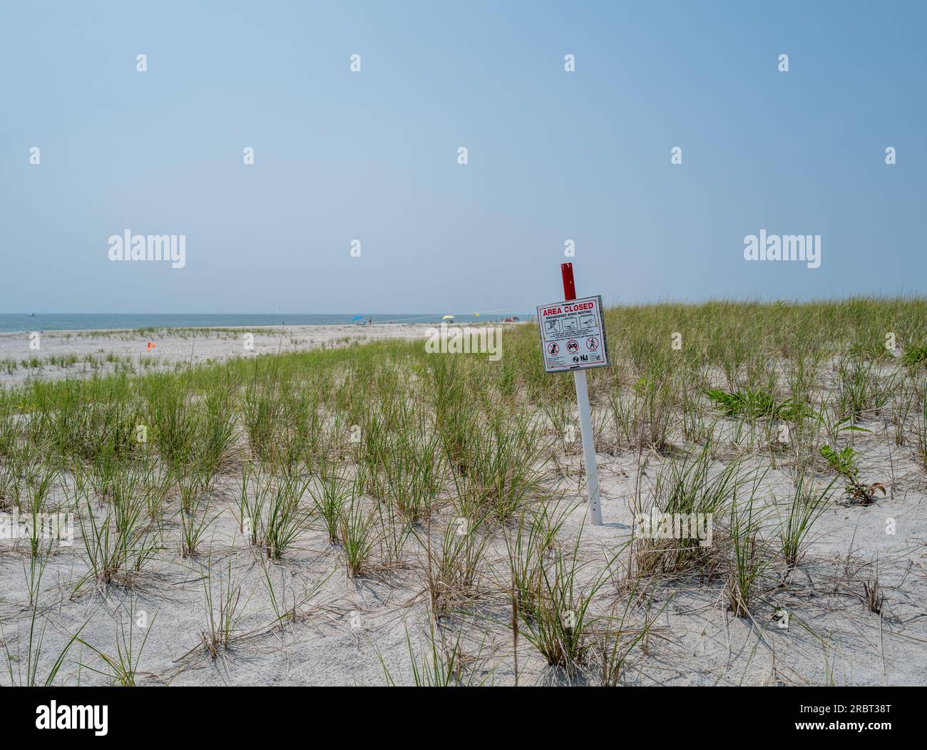 BARNEGAT LIGHT, N.J. – 6 maggio 2023: Un terreno di nidificazione per gli uccelli in via di estinzione è visto a Barnegat Light sull'isola di Long Beach. Foto Stock