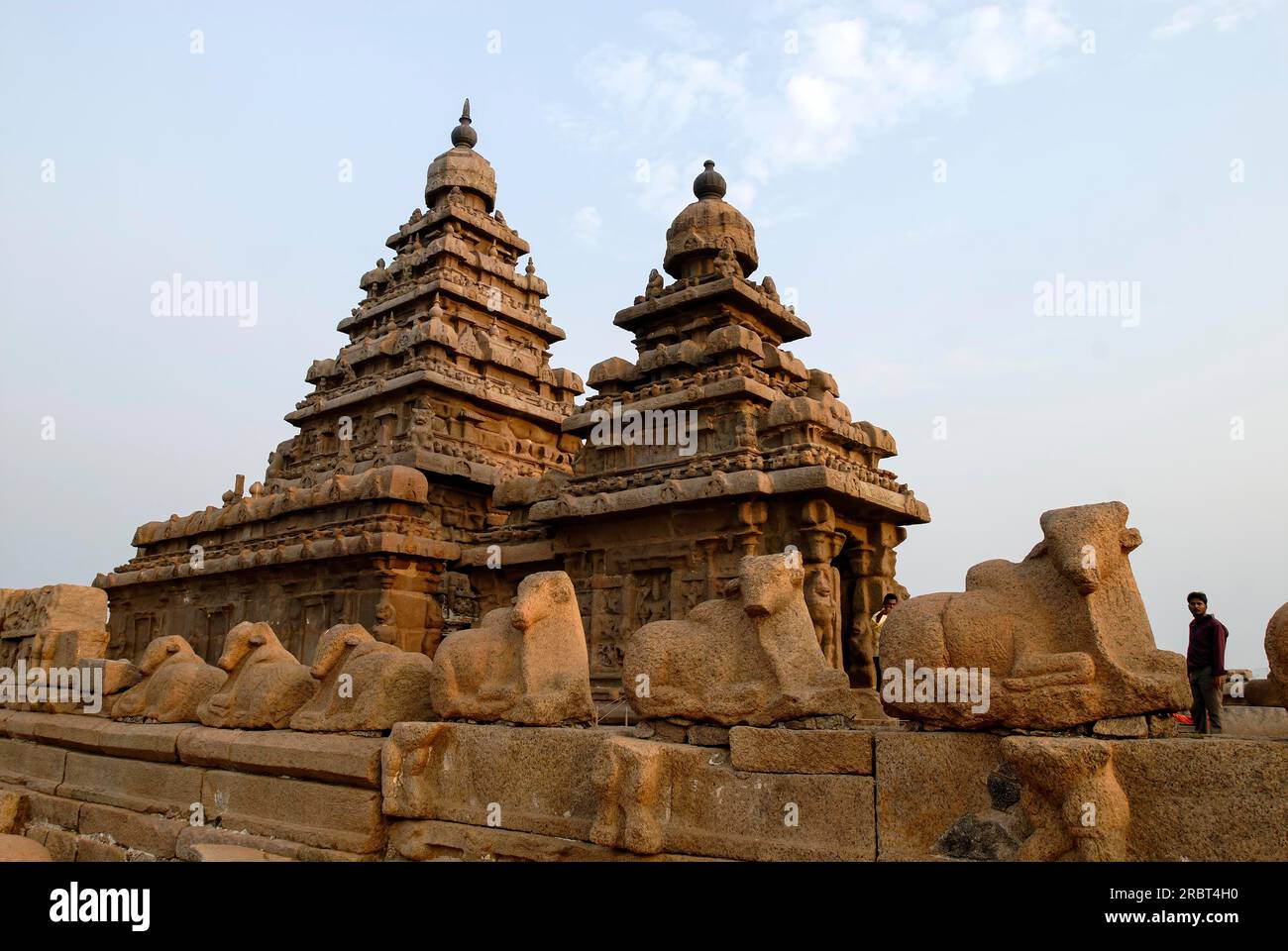 Shore tempio dedicato agli dei Vishnu e Shiva costruito 700 °, 728 in Mahabalipuram, uno dei più antichi tempio in piedi sul bordo del mare in Foto Stock