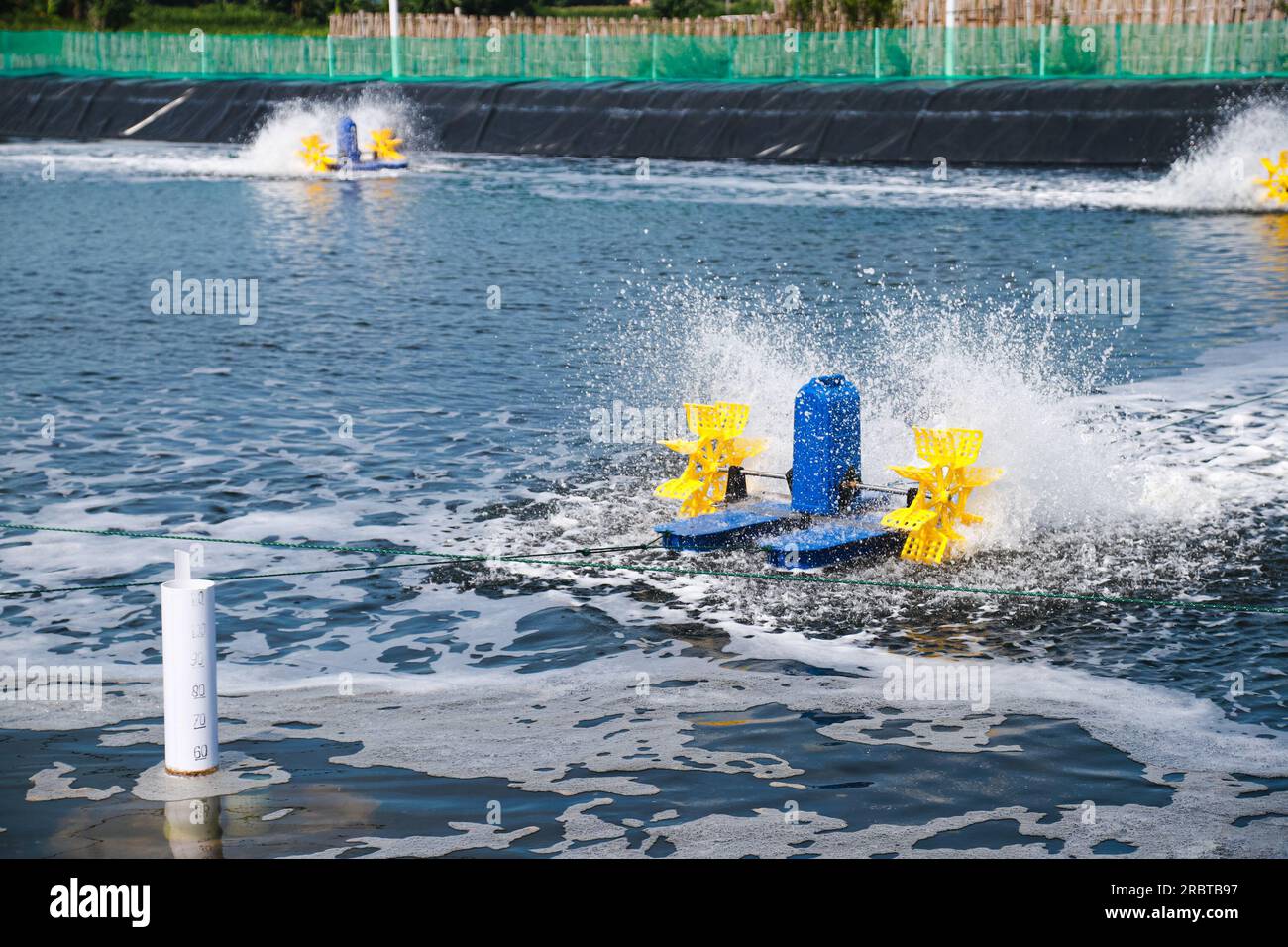 Gli aeratori a pale vengono utilizzati per aumentare la qualità dell'ossigeno nei bacini di gamberi vanamei Foto Stock