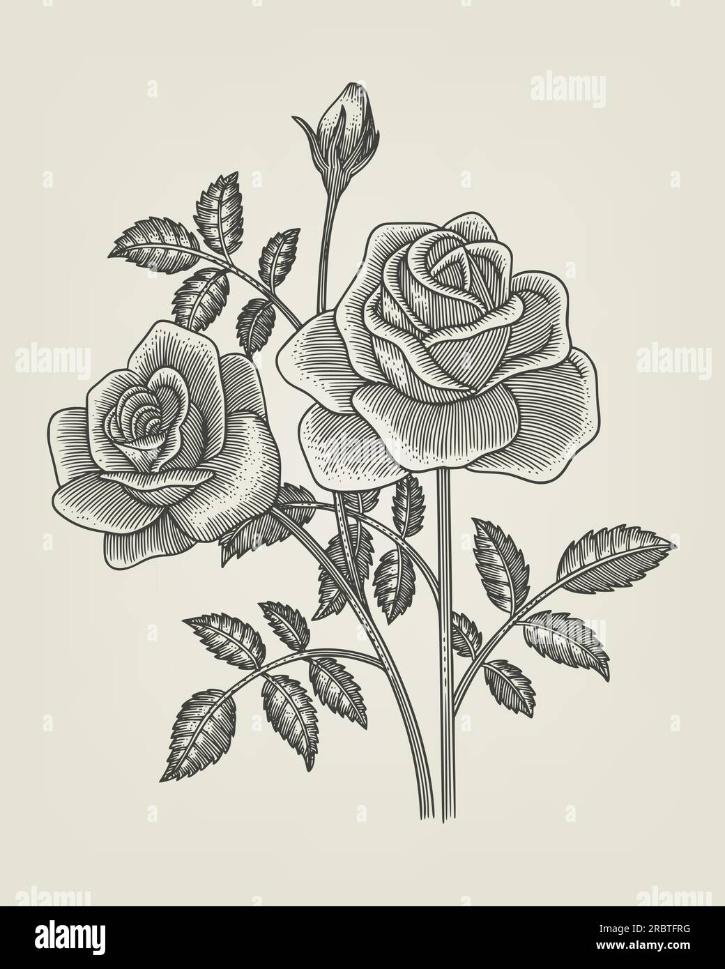 incisione con fiori di rosa, illustrazione vettoriale d'epoca Illustrazione Vettoriale