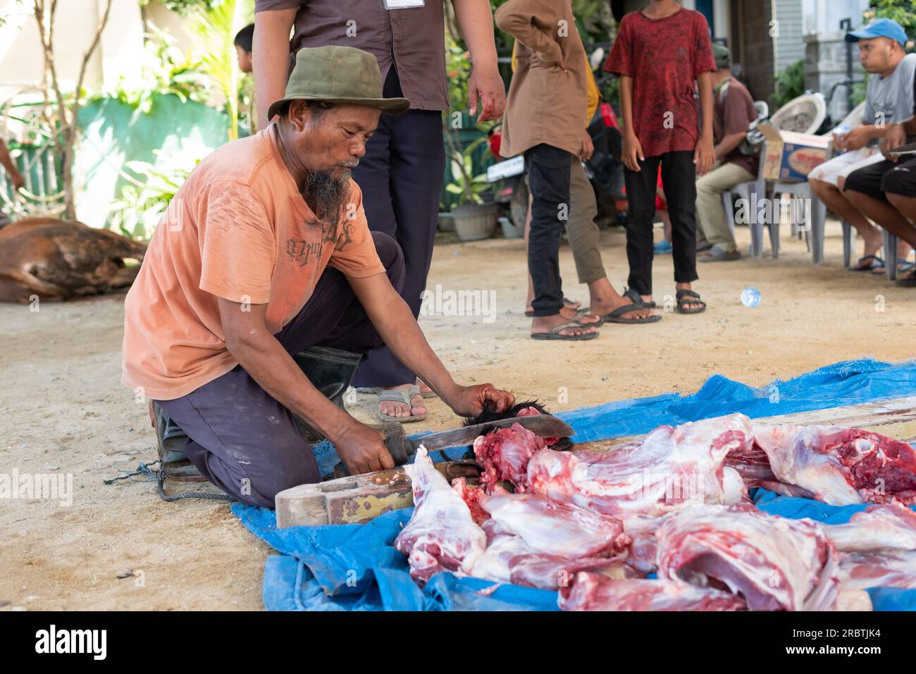 Lampung, Indonesia, 29 giugno 2023: I musulmani indonesiani sconosciuti si aiutano a vicenda per massacrare animali sacrificali halal durante l'Eid al-Adha Foto Stock