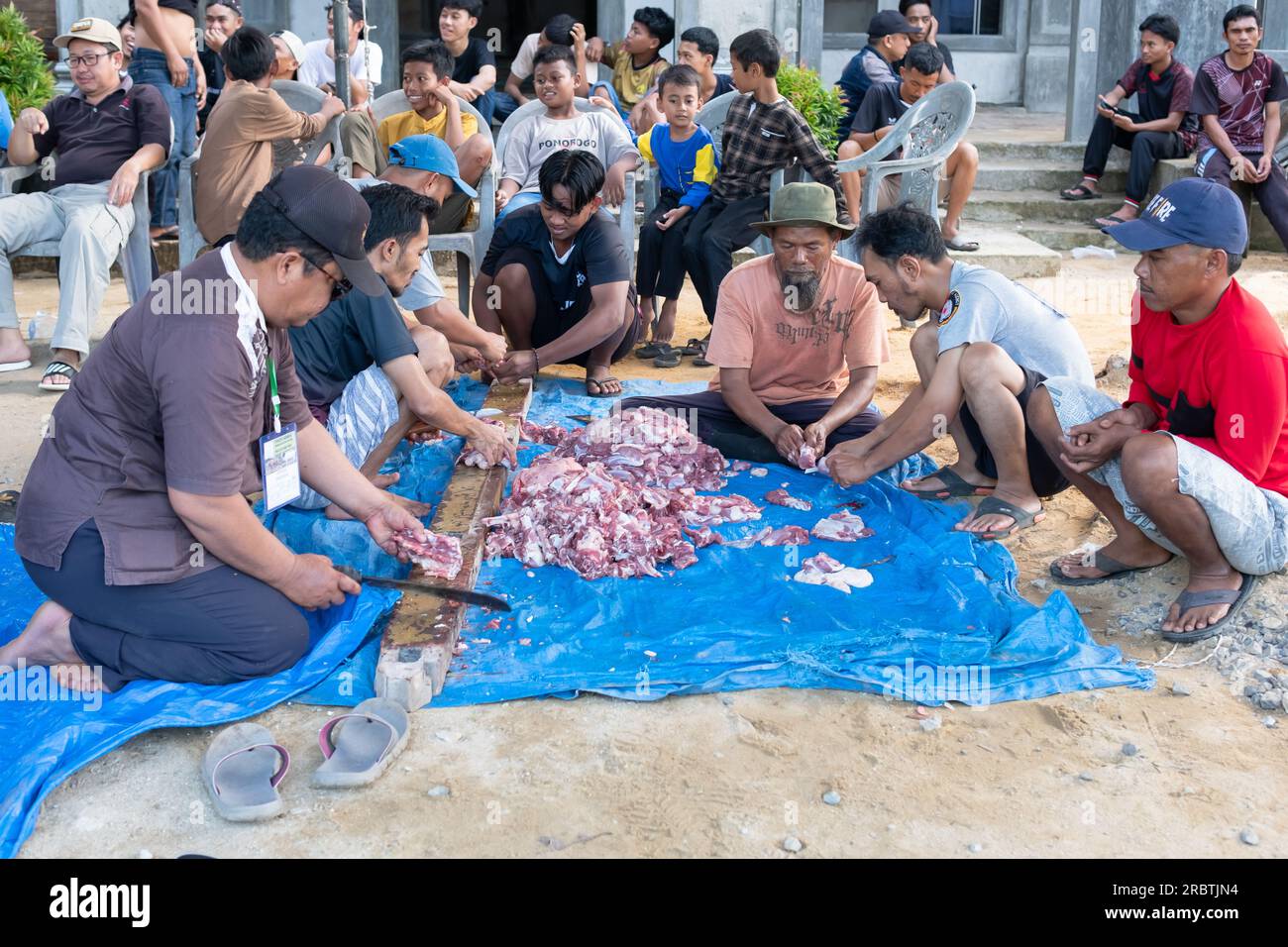 Lampung, Indonesia, 29 giugno 2023: I musulmani indonesiani sconosciuti si aiutano a vicenda per massacrare animali sacrificali halal durante l'Eid al-Adha Foto Stock