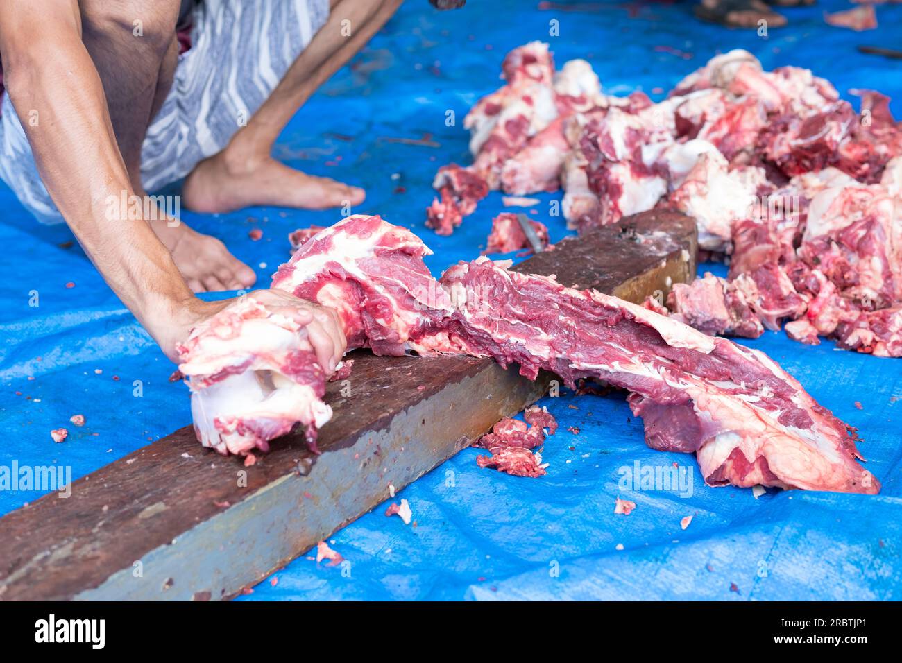 I musulmani indonesiani sconosciuti si aiutano a vicenda a macellare animali sacrificali halal durante Eid al-Adha Foto Stock