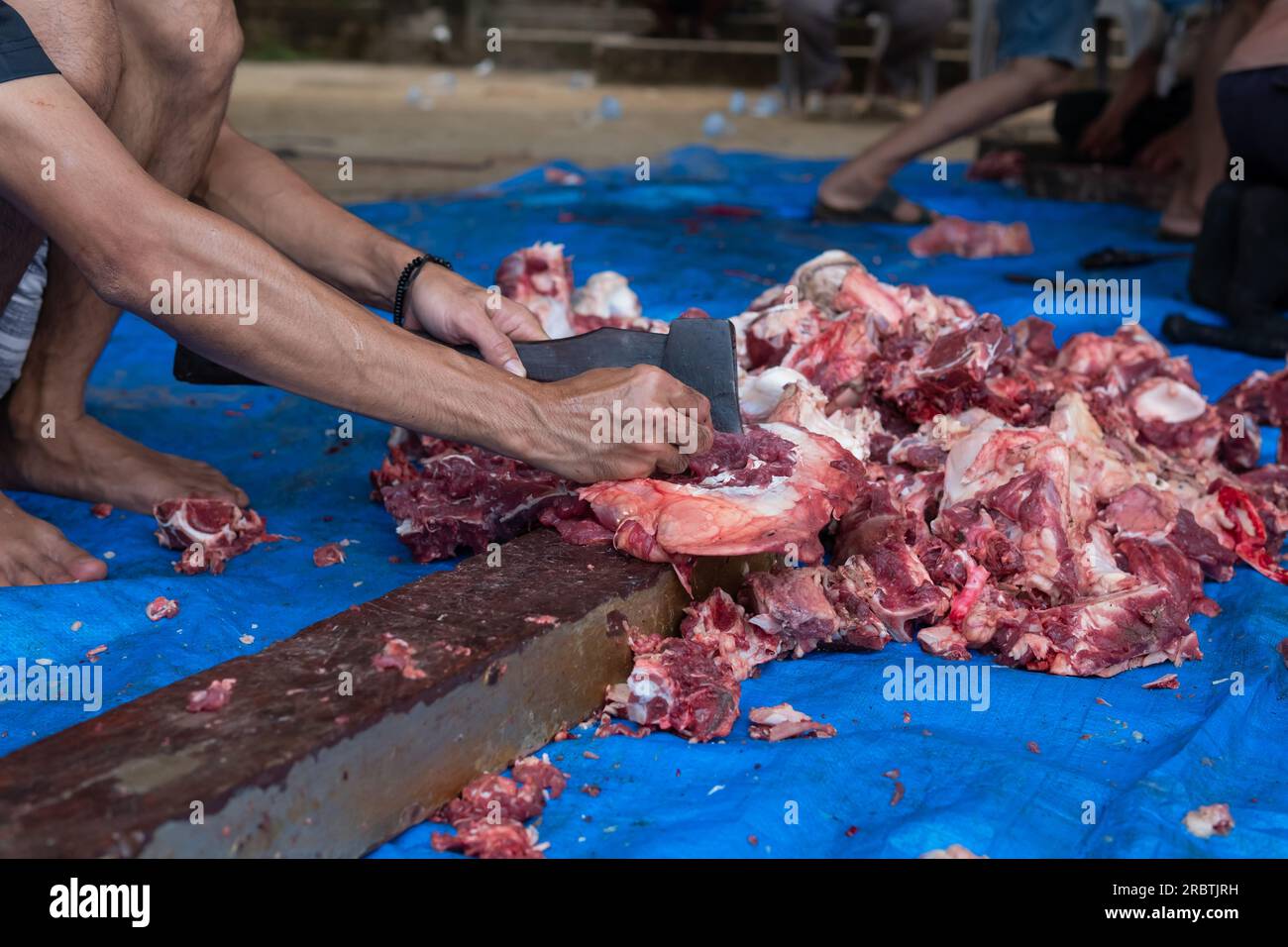I musulmani indonesiani sconosciuti si aiutano a vicenda a macellare animali sacrificali halal durante Eid al-Adha Foto Stock