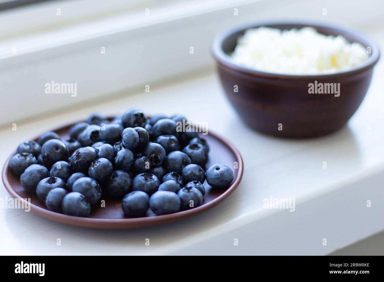 Formaggio cottage con mirtilli. Colazione salutare. Riccio in ciotola con frutti di bosco dolci. Cibo biologico agricolo. Formaggio casalingo fatto in casa con frutti di bosco. Foto Stock