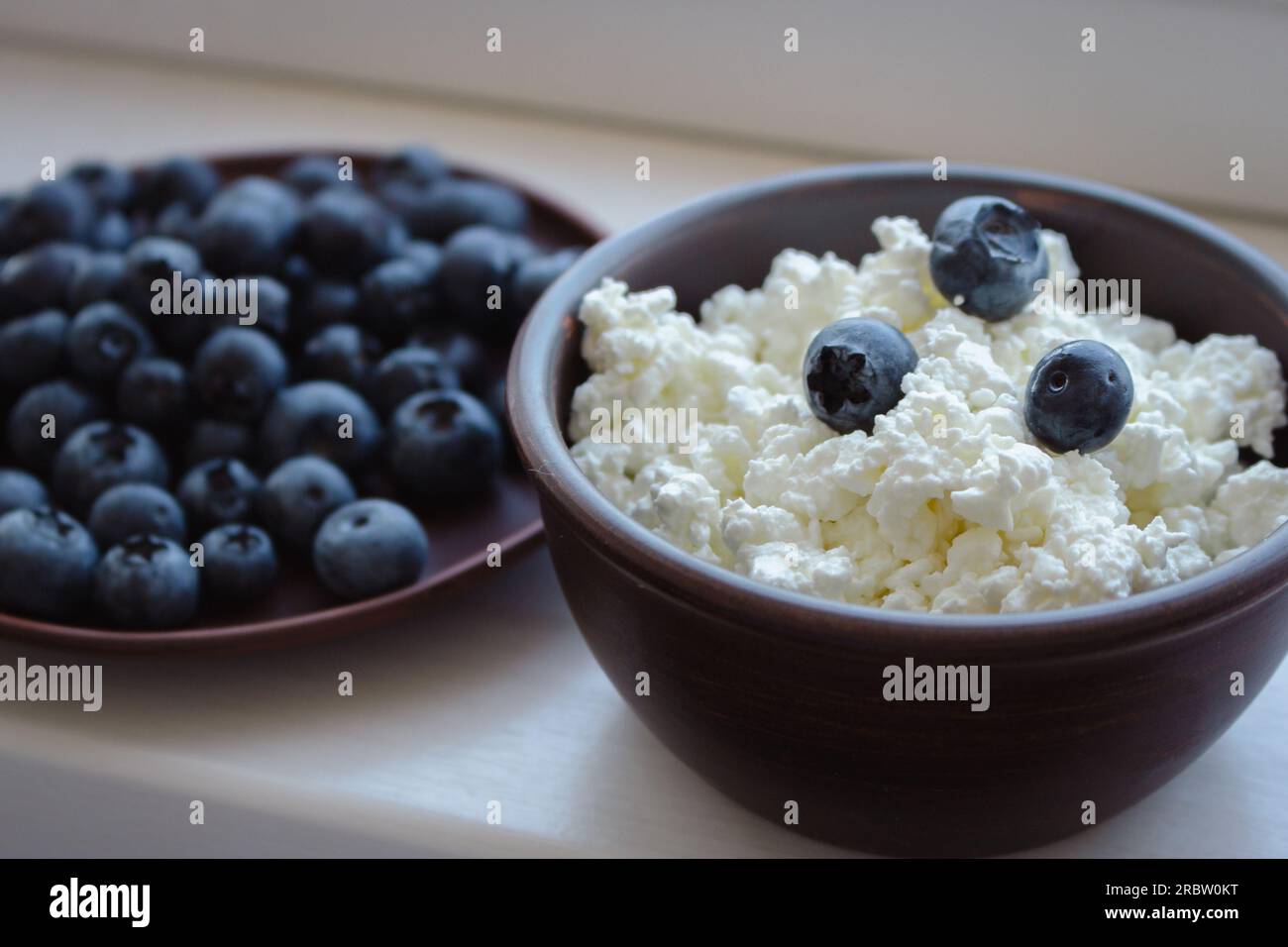 Formaggio cottage con mirtilli. Colazione salutare. Riccio in ciotola con frutti di bosco dolci. Cibo biologico agricolo. Formaggio casalingo fatto in casa con frutti di bosco. Foto Stock