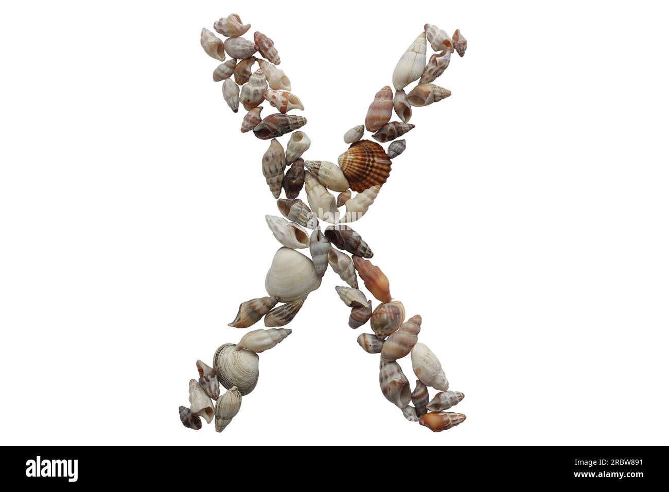 Lettera X, idea di concetto estate. Lettera X realizzata con guscio marino isolato su sfondo bianco. Foto Stock