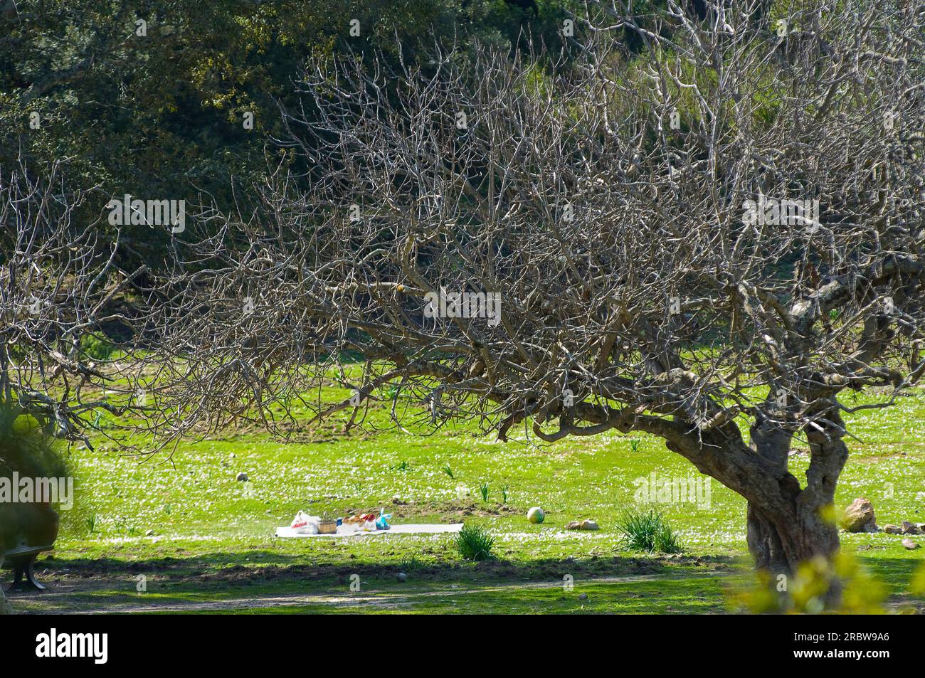 Is Pauceris, Gutturu Mannu Park, comune di Pola, Villa San Pietro, Siliqua, Domus De Maria, Uta, Assemini, Santadi, Capoterra, Sarroch, Teulada, Foto Stock