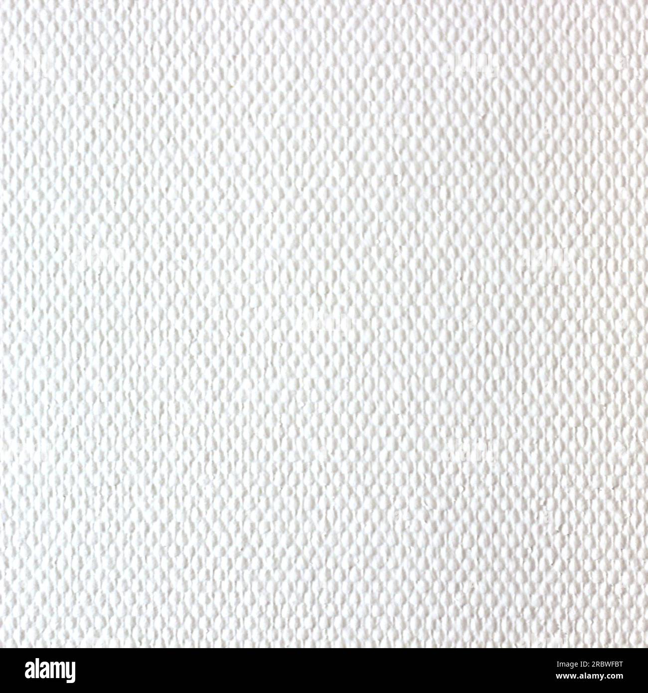 Un semplice sfondo bianco. Foto Stock