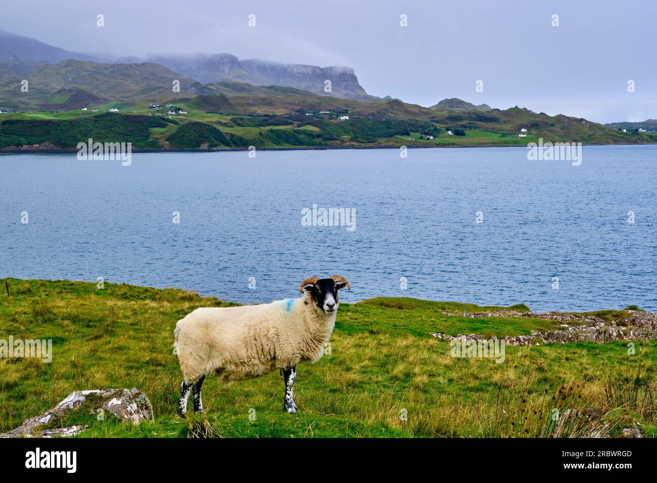 Regno Unito, Scozia, Isola di Skye, An Corran Beach Foto Stock