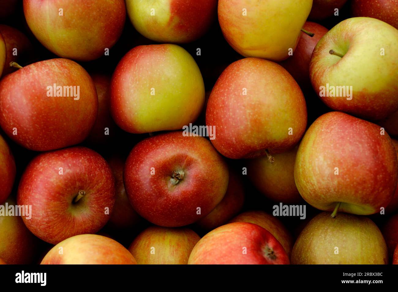 Braeburn apples Foto Stock