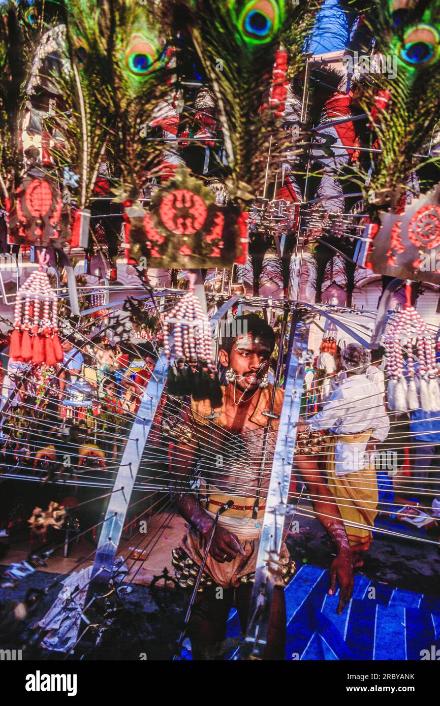 Devoto con il corpo trafitto in una Processione religiosa a Thaipusam, Singapore, Sud Est Asiatico Foto Stock