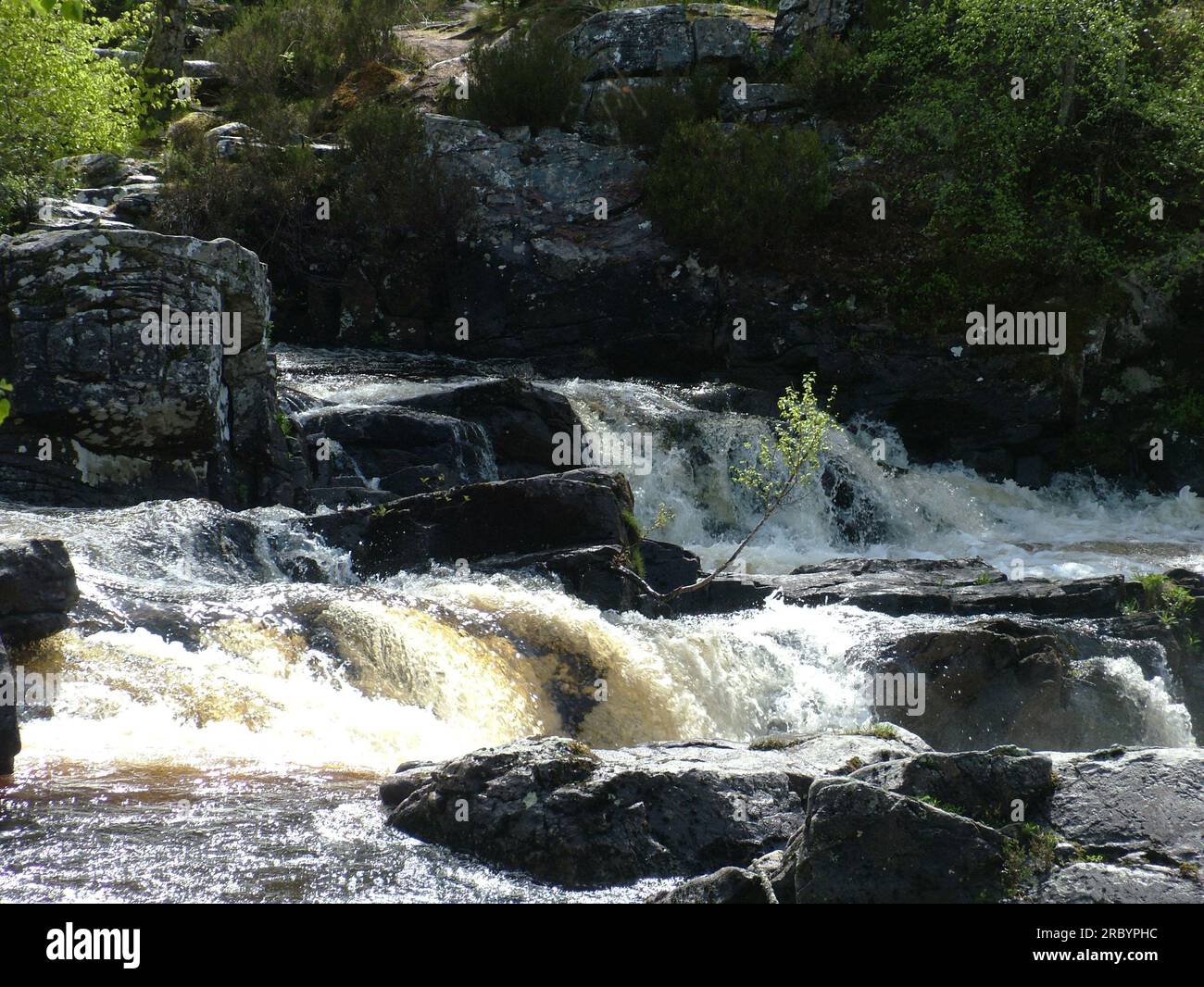 Le Rogie Falls sono una serie di cascate sulle Black Water, un fiume a Easter Ross nelle Highlands scozzesi. Foto Stock