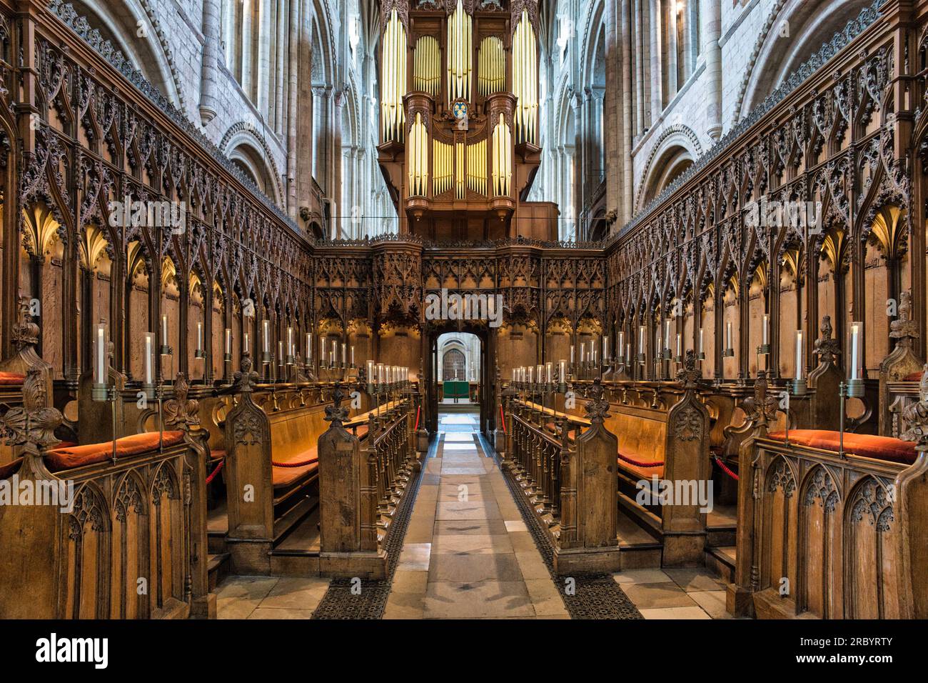 Bancarelle del coro della Cattedrale di Norwich e organo Foto Stock