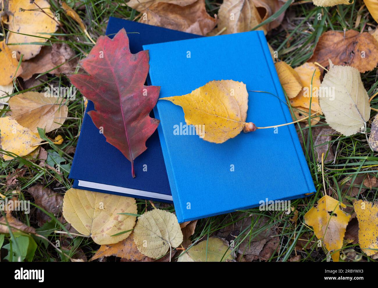 Ciao, Autumn. Amo l'autunno e leggiamo libri. torna a scuola. concetto di istruzione Foto Stock