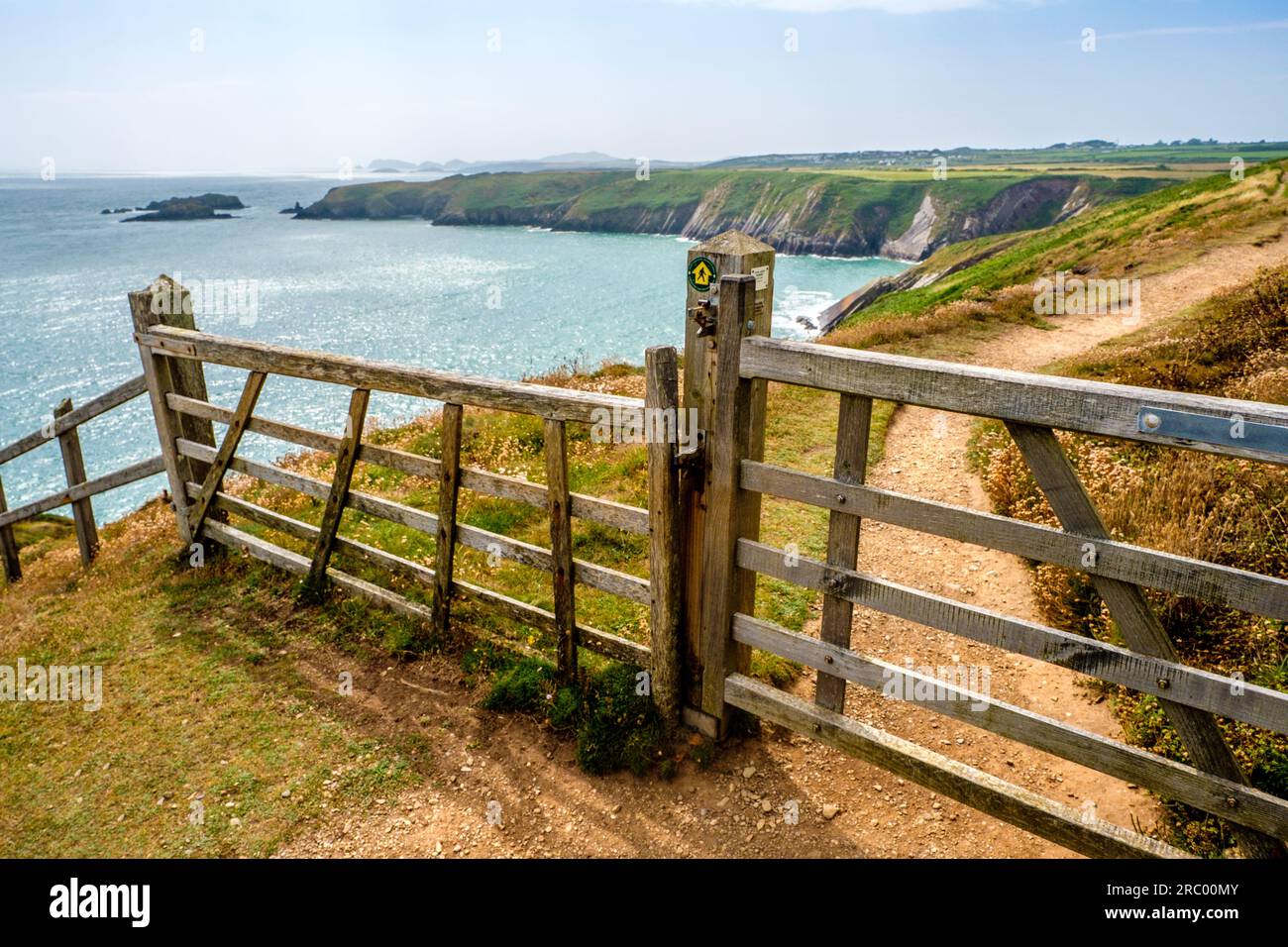 Il Pembrokeshire Coast Path tra Solva e St Davids nel Galles occidentale, Regno Unito Foto Stock