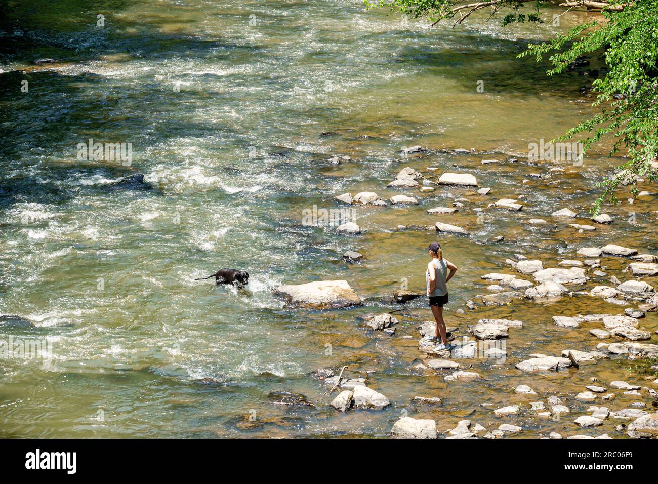 Roswell Atlanta Georgia, Vickery Creek Old Mill Park, acqua per cani donna, Chattahoochee River National Recreation area Foto Stock