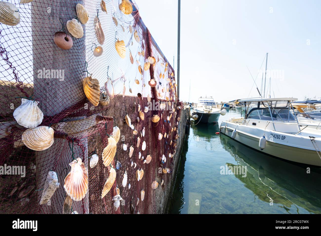 Rete Da Pesca Decorativa Con Conchiglie - Fotografie stock e altre immagini  di Albero - Albero, Arte, Bellezza - iStock