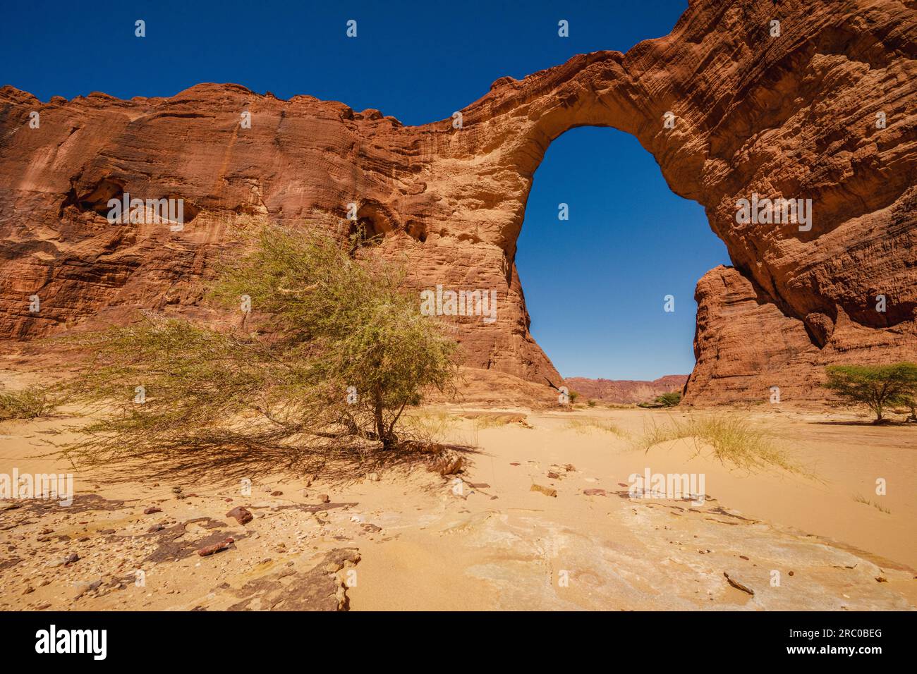 L'imponente arco di Aloba, uno degli archi naturali più grandi del mondo, si erge risoluto sullo sfondo desertico del Sahara del Ciad Foto Stock